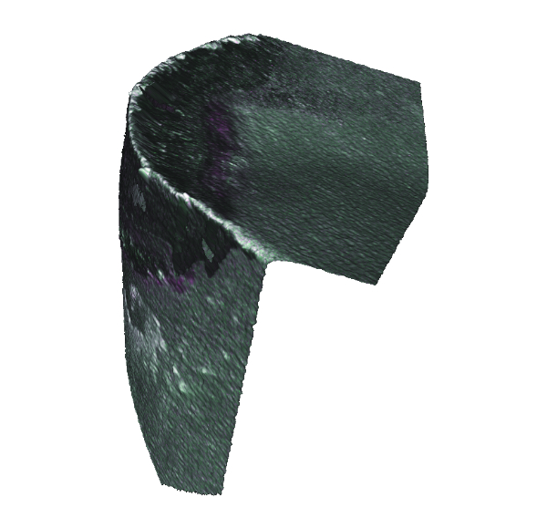 3d scan of worn insert. screenshot.